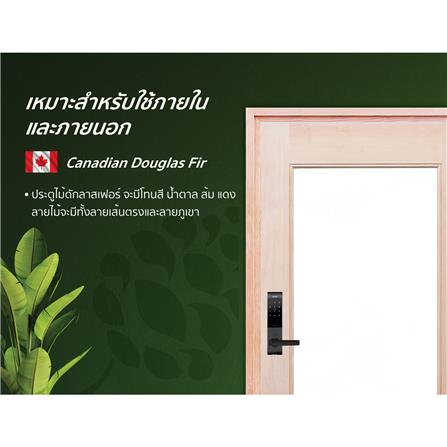 ประตูไม้ดักลาสเฟอร์ ไม่เจาะลูกบิด D2D D2D-419 90x200 ซม. สีธรรมชาติ_3