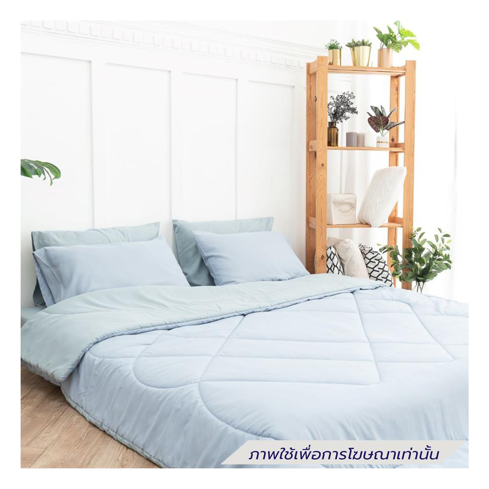 ชุดผ้าปูที่นอน 3.5 ฟุต (ชุด 4 ชิ้น) SANTA BEDDING GREEN/LIGH BLUE
