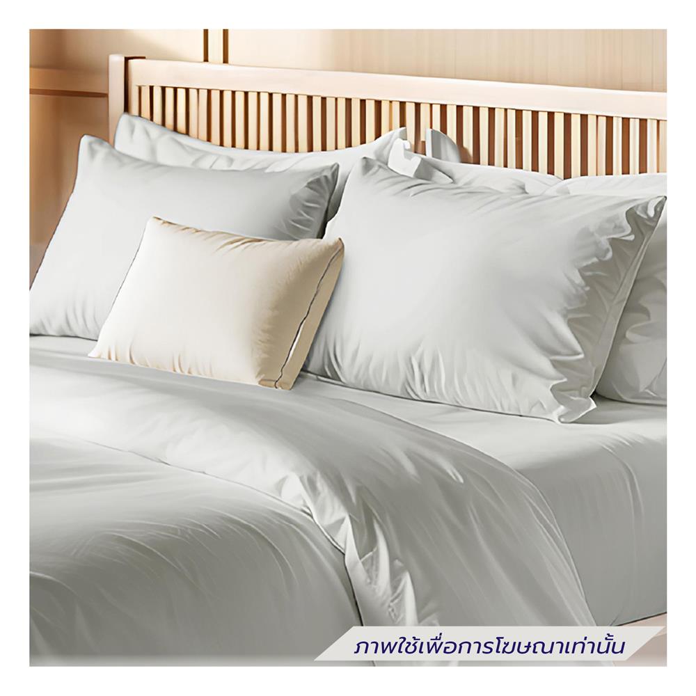 ปลอกผ้านวม FROLINA HORIZEN 70x90 นิ้ว HZSF004