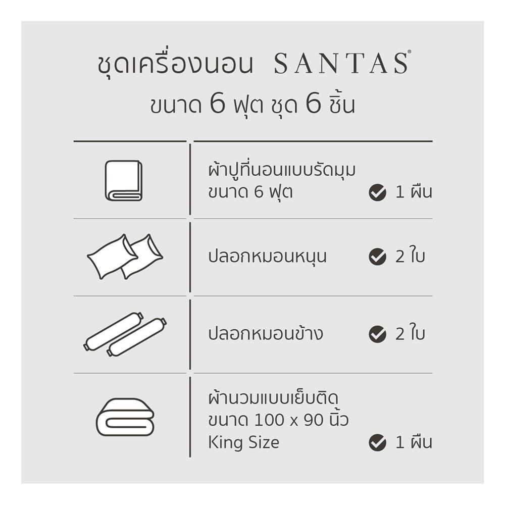 ชุดผ้าปูที่นอน 6 ฟุต (ชุด 6 ชิ้น) SANTAS COTTON USA BLOSSOM GRID LK