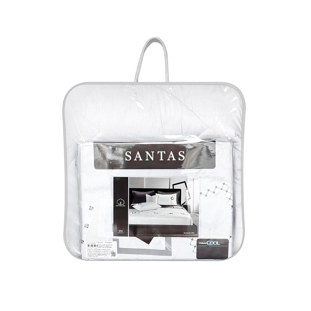 ชุดผ้าปูที่นอน 5 ฟุต (ชุด 6 ชิ้น) SANTAS COTTON USA BLOSSOM GRID LK