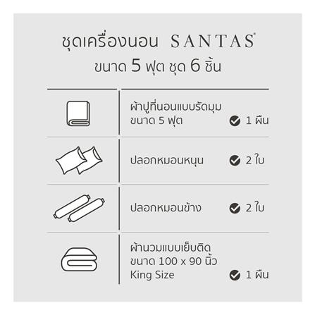 ชุดผ้าปูที่นอน 5 ฟุต (ชุด 6 ชิ้น) SANTAS COTTON USA BLOSSOM GRID LK_6