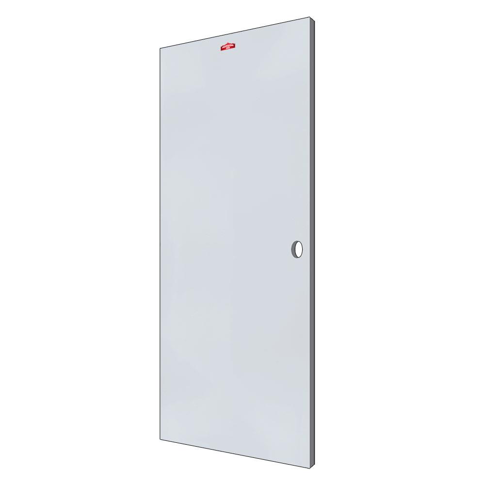 ประตูภายนอกเหล็ก เจาะลูกบิด PROFESSIONAL DOOR D2G 89.2x199.4 ซม. สีเทา
