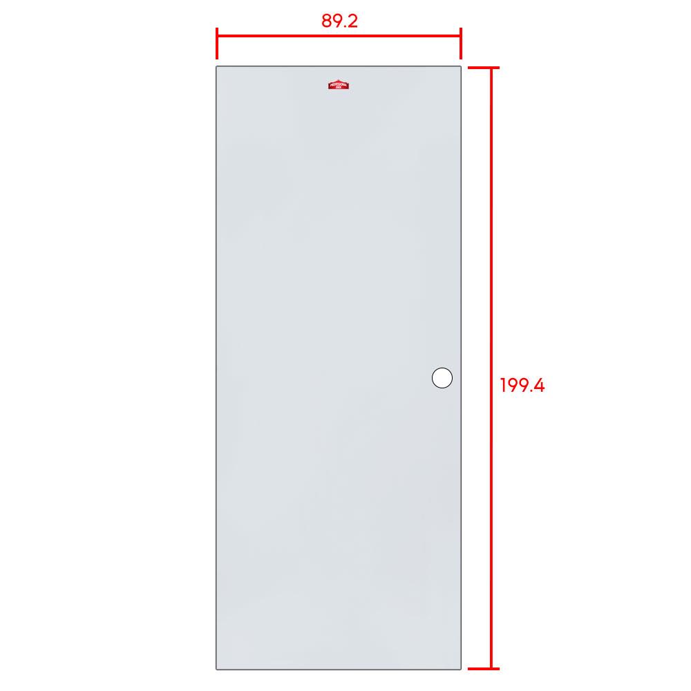 ประตูภายนอกเหล็ก เจาะลูกบิด PROFESSIONAL DOOR D2G 89.2x199.4 ซม. สีเทา