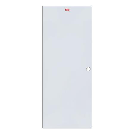 ประตูภายนอกเหล็ก เจาะลูกบิด PROFESSIONAL DOOR D2G 89.2x199.4 ซม. สีเทา_0