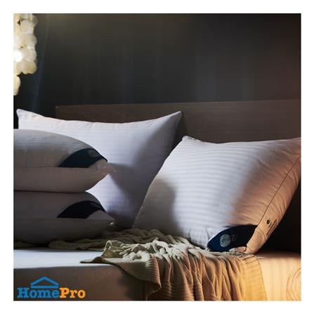 หมอนหนุน OMAZZ LOFTY S25 20x30 นิ้ว สีขาว_5