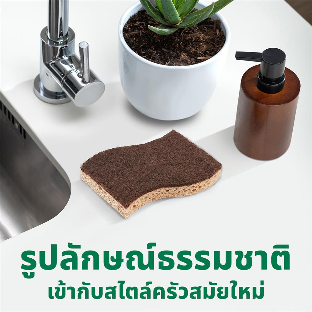 ฟองน้ำเซลลูโลสพร้อมแผ่นใยขัด SCOTCH-BRITE GREENER CLEAN สำหรับงานขัดทั่วไป (แพ็ก 2 ชิ้น)