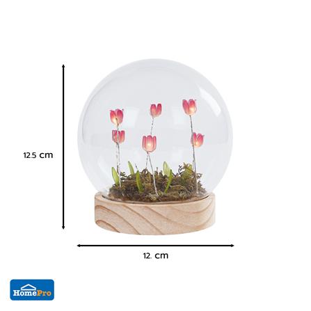 กล่องไฟตกแต่ง SNAZZ บอลแก้ว TULIP LAVENDER_4