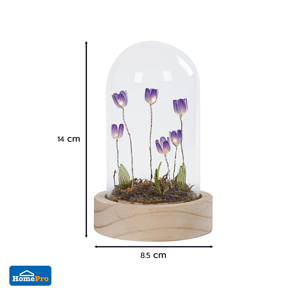 กล่องไฟตกแต่ง SNAZZ โดมแก้ว TULIP LAVENDER