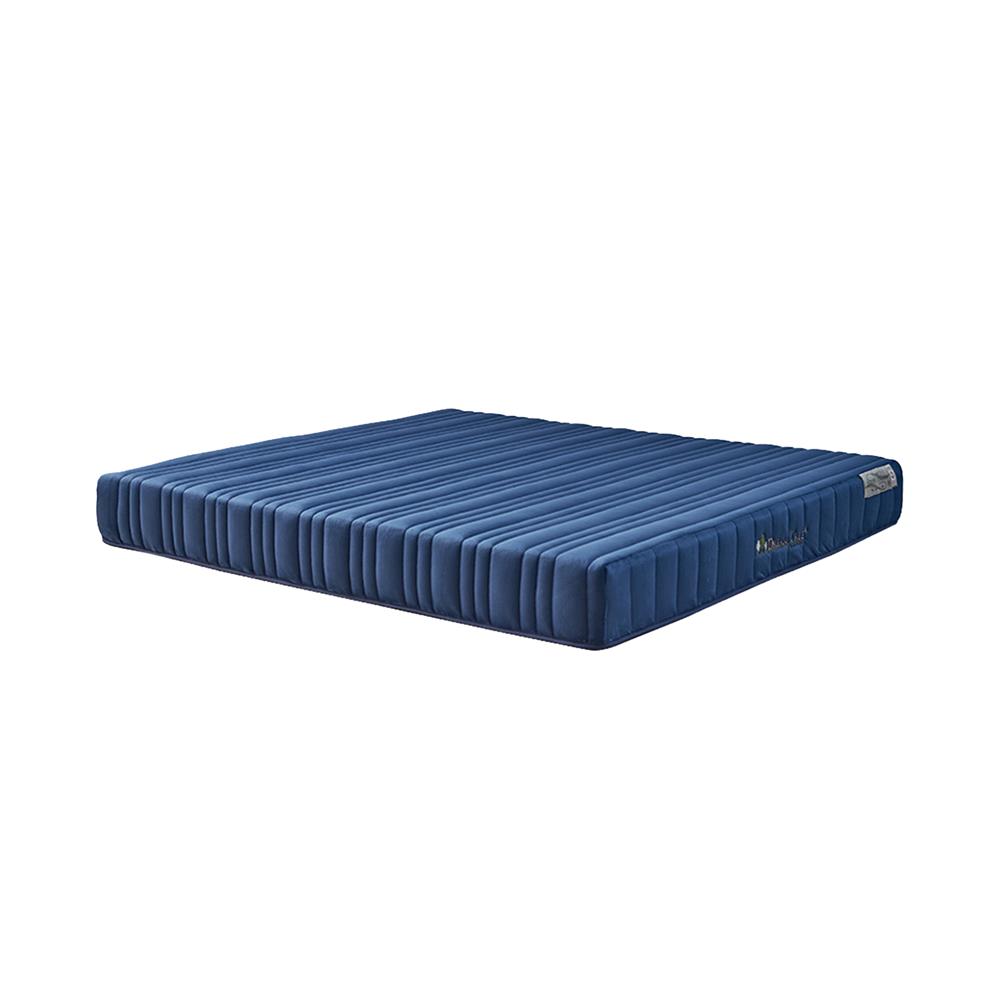 ที่นอน 6 ฟุต DREAM TREE DIARY DREAM