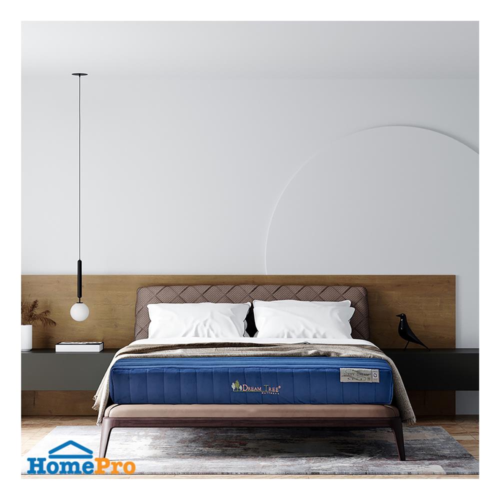 ที่นอน 6 ฟุต DREAM TREE DIARY DREAM