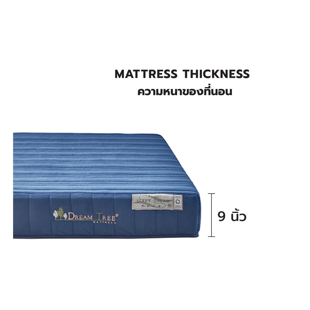 ที่นอน 6 ฟุต DREAM TREE DIARY DREAM