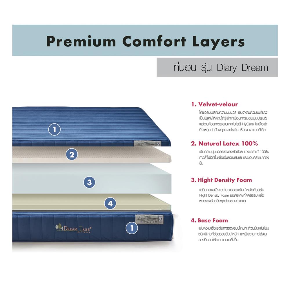 ที่นอน 6 ฟุต DREAM TREE DIARY DREAM