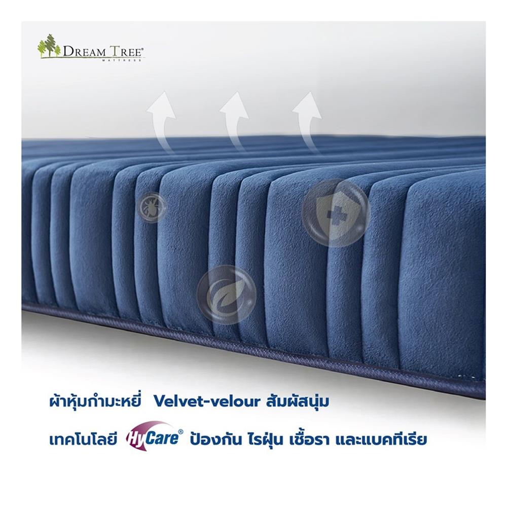 ที่นอน 6 ฟุต DREAM TREE DIARY DREAM