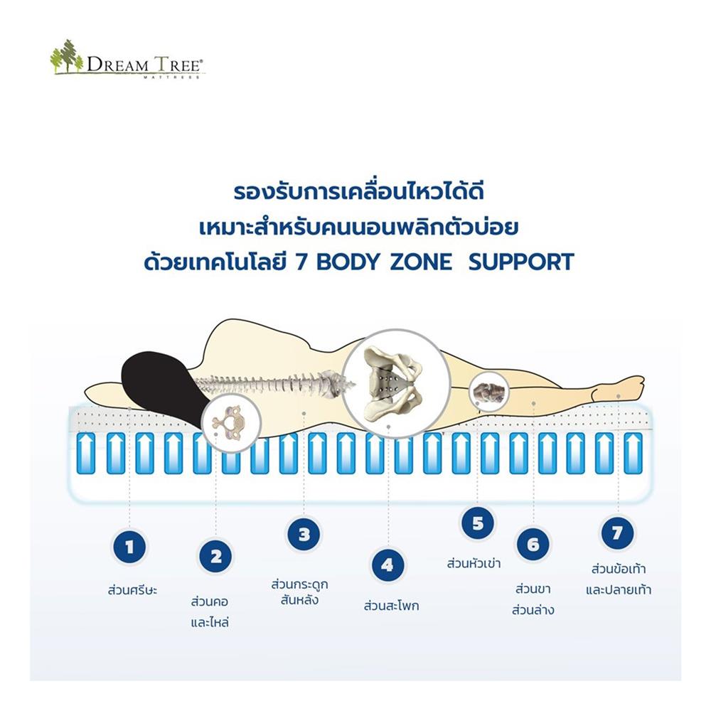 ที่นอน 5 ฟุต DREAM TREE DIARY DREAM