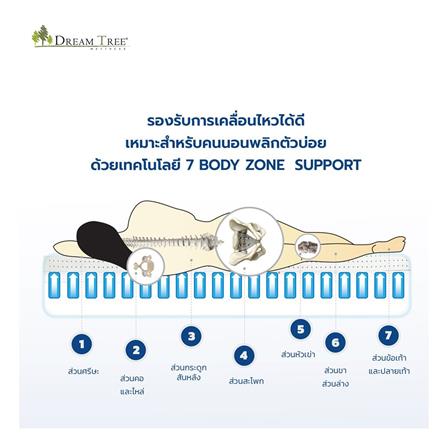 ที่นอน 5 ฟุต DREAM TREE DIARY DREAM_4