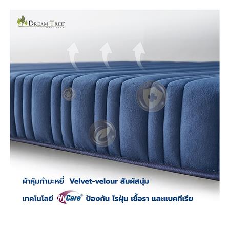 ที่นอน 5 ฟุต DREAM TREE DIARY DREAM_6