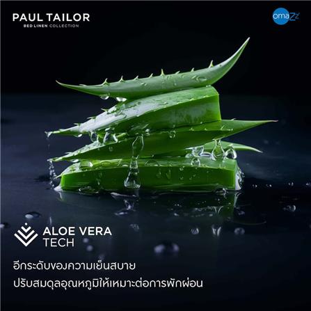 ชุดผ้าปูที่นอน 5 ฟุต (ชุด 3 ชิ้น) OMAZZ PAUL TAILOR CHAMPAGNE_10