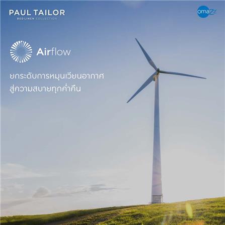 ชุดผ้าปูที่นอน 5 ฟุต (ชุด 3 ชิ้น) OMAZZ PAUL TAILOR CHAMPAGNE_14