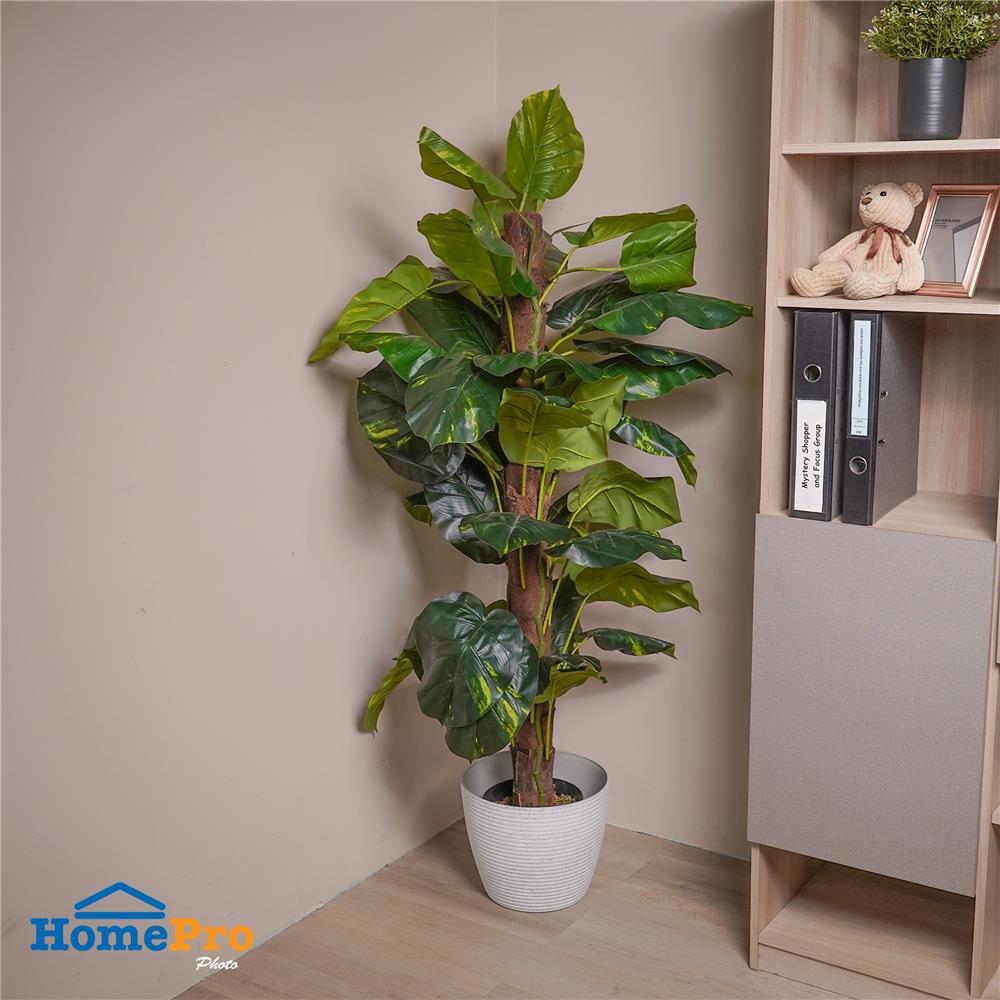 กระถางพลาสติก SPRING MORE 30 ซม. สีขาว