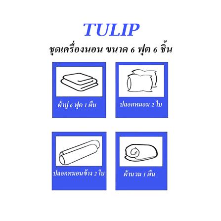 ชุดผ้าปูที่นอน 6 ฟุต (ชุด 6 ชิ้น) TULIP DELIGHT 60239-DL586_4