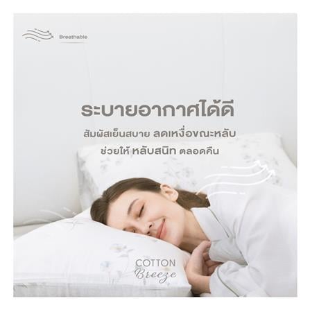 ชุดผ้าปูที่นอน 6 ฟุต (ชุด 6 ชิ้น) FROLINA COTTON BREEZE NOVELLE CBDF008_6