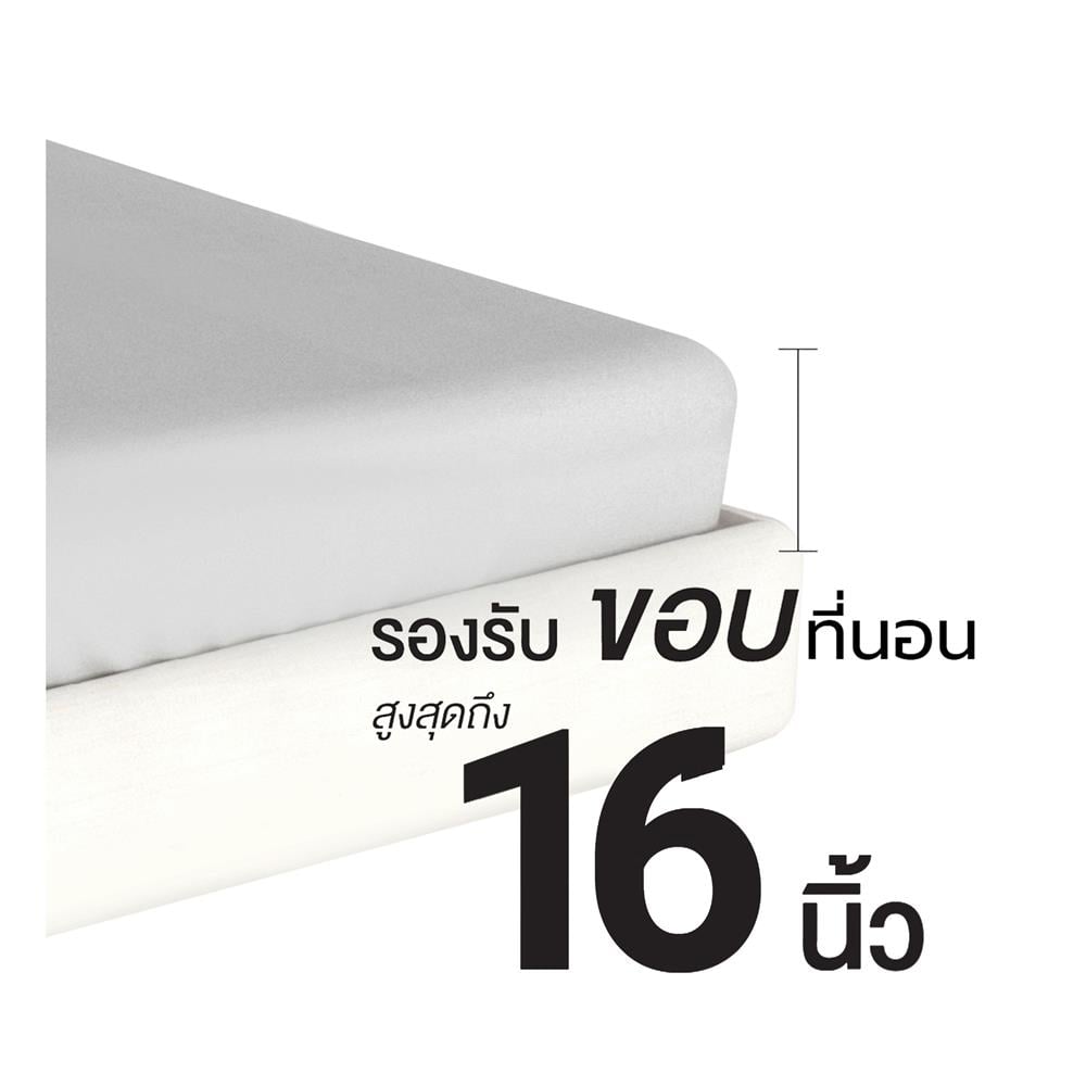 ชุดผ้าปูที่นอน 5 ฟุต (ชุด 6 ชิ้น) FROLINA COTTON BREEZE AMORIE CBDF009