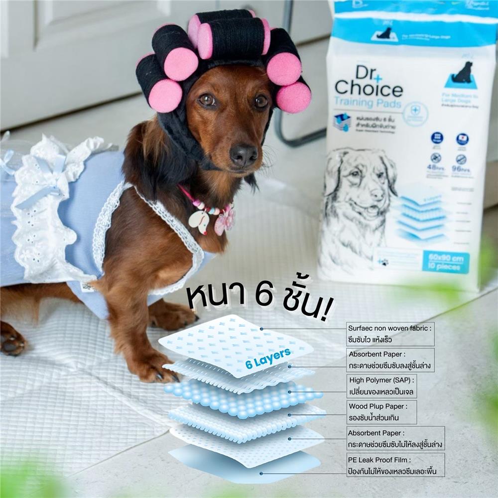 แผ่นรองซับ DR.CHOICE SIZE M 45x60 ซม. (50ชิ้น/ห่อ)