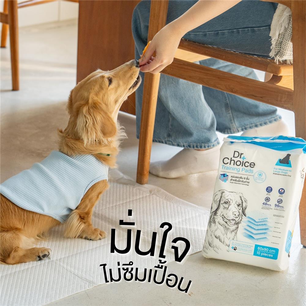 แผ่นรองซับ DR.CHOICE SIZE M 45x60 ซม. (10 ชิ้น/ห่อ)