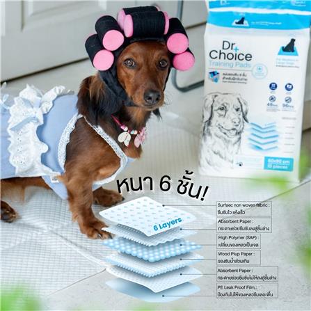 แผ่นรองซับ DR.CHOICE SIZE M 45x60 ซม. (10 ชิ้น/ห่อ)_3