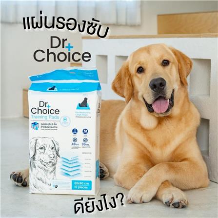แผ่นรองซับ DR.CHOICE SIZE L 60x90 ซม. (10ชิ้น/ห่อ)_1