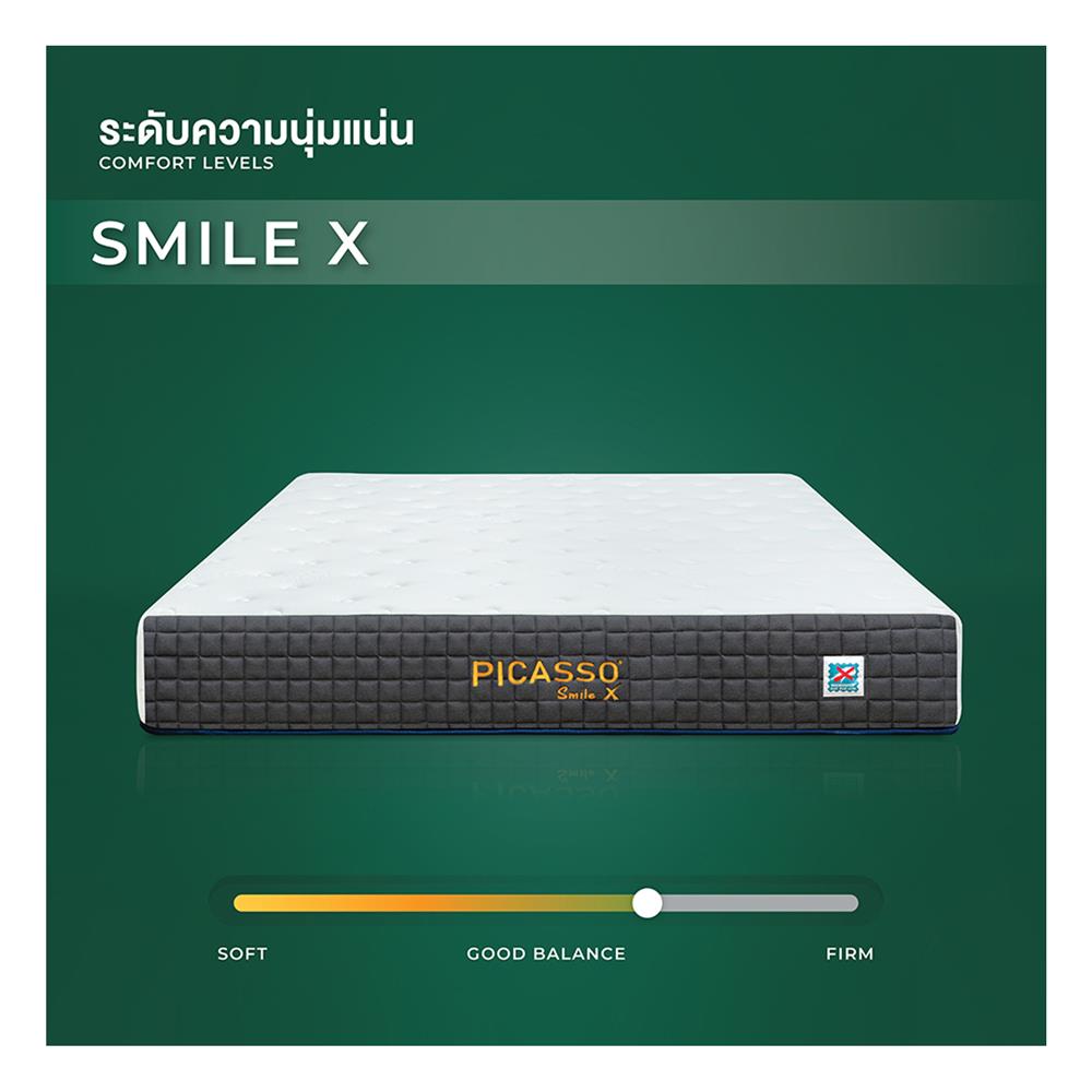 ที่นอน 6 ฟุต PICASSO SMILE X (พร้อมโซฟา COZY สีเทา 1 ตัว)