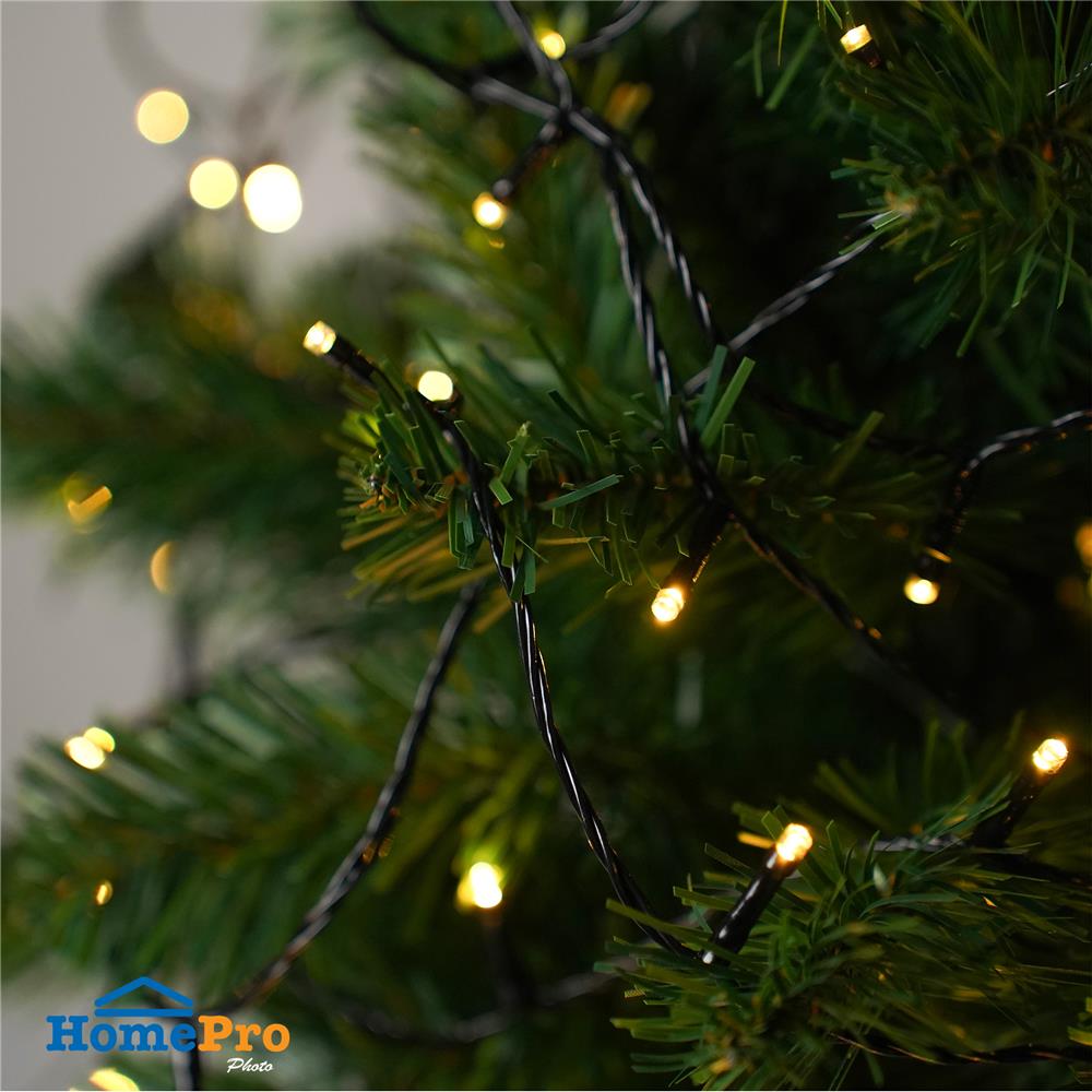 ไฟจัดสวน SOLAR CARINI HM-PJ 0016WW/30M 2.9 วัตต์ WARM WHITE สีดำ