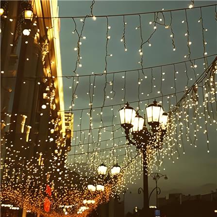 ไฟจัดสวน SOLAR CARINI HM-PJ 0016WW/30M 2.9 วัตต์ WARM WHITE สีดำ_1