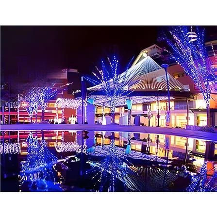 ไฟจัดสวน SOLAR CARINI HM-PJ 0011RGB/50M 2.9 วัตต์ RGB สีดำ_1
