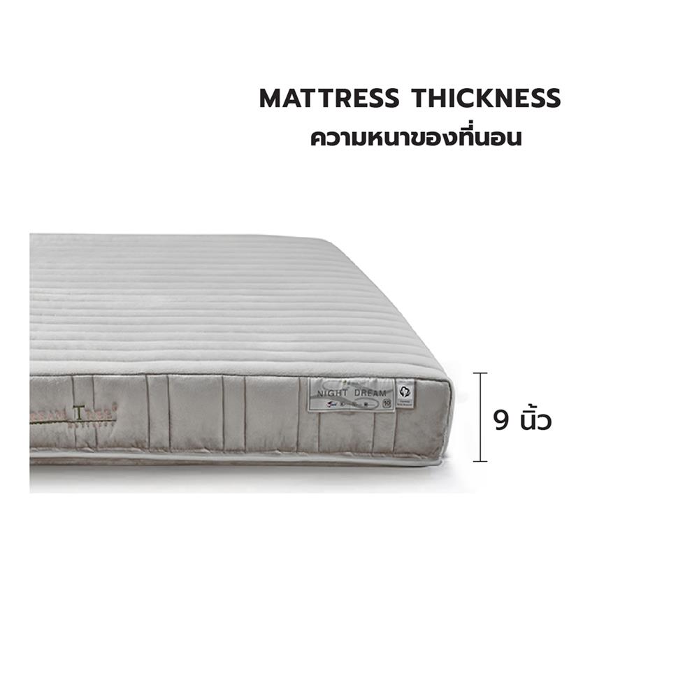 ที่นอน 3.5 ฟุต DREAM TREE NIGHT DREAM