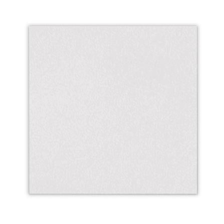 แผ่นยิปซั่ม GM EASTBERG เลมอน 60x60x0.8 ซม. (แพ็ก 10 ชิ้น)_1
