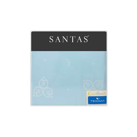 ชุดผ้าปูที่นอน 6 ฟุต (ชุด 5 ชิ้น) SANTAS TEXIMA MOIRA BL_4