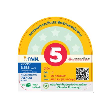 ตู้เย็น SIDE BY SIDE LG GC-X257ELEP.APYPLMT 22.2 คิว สีเงิน_6