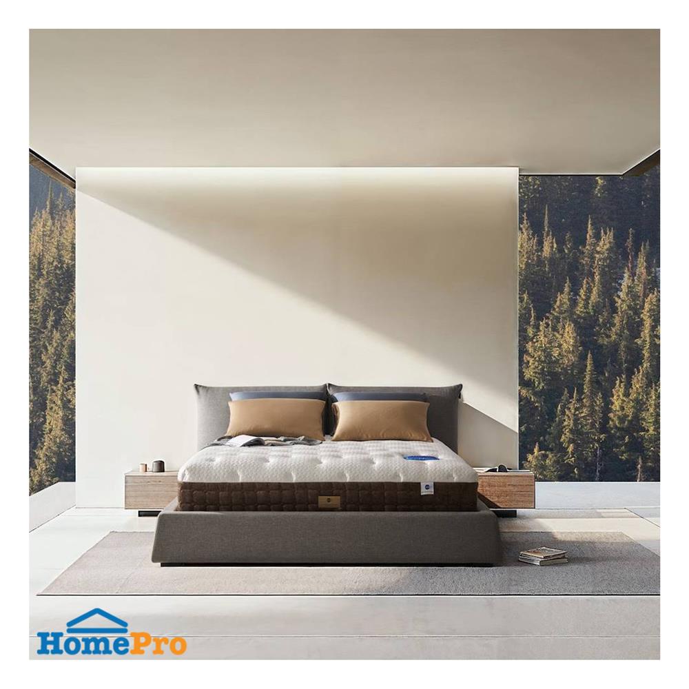 ที่นอน 6 ฟุต OMAZZ FENTOUS (พร้อมชุดเครื่องนอน 8 ชิ้น)