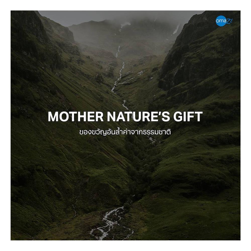 ที่นอน 6 ฟุต OMAZZ FENTOUS (พร้อมชุดเครื่องนอน 8 ชิ้น)