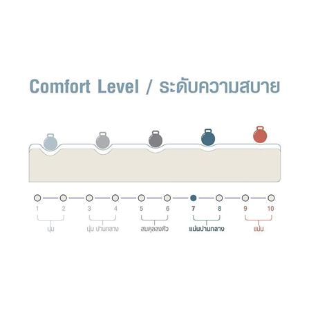 ที่นอน 6 ฟุต SERA EXTRA_6