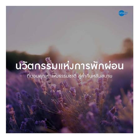 ที่นอน 5 ฟุต OMAZZ FINCHLEY (พร้อมชุดเครื่องนอน 8 ชิ้น)_13