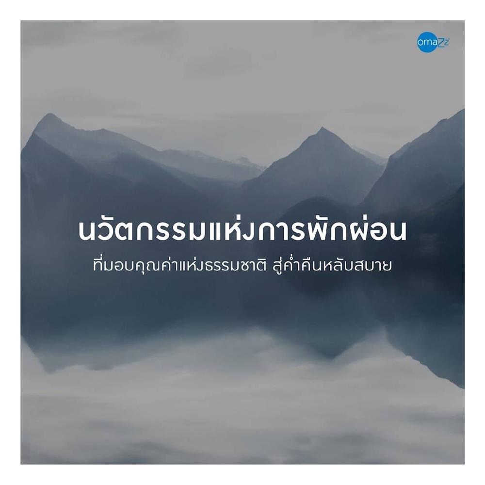 ที่นอน 5 ฟุต OMAZZ FERRIS (พร้อมชุดเครื่องนอน 8 ชิ้น)