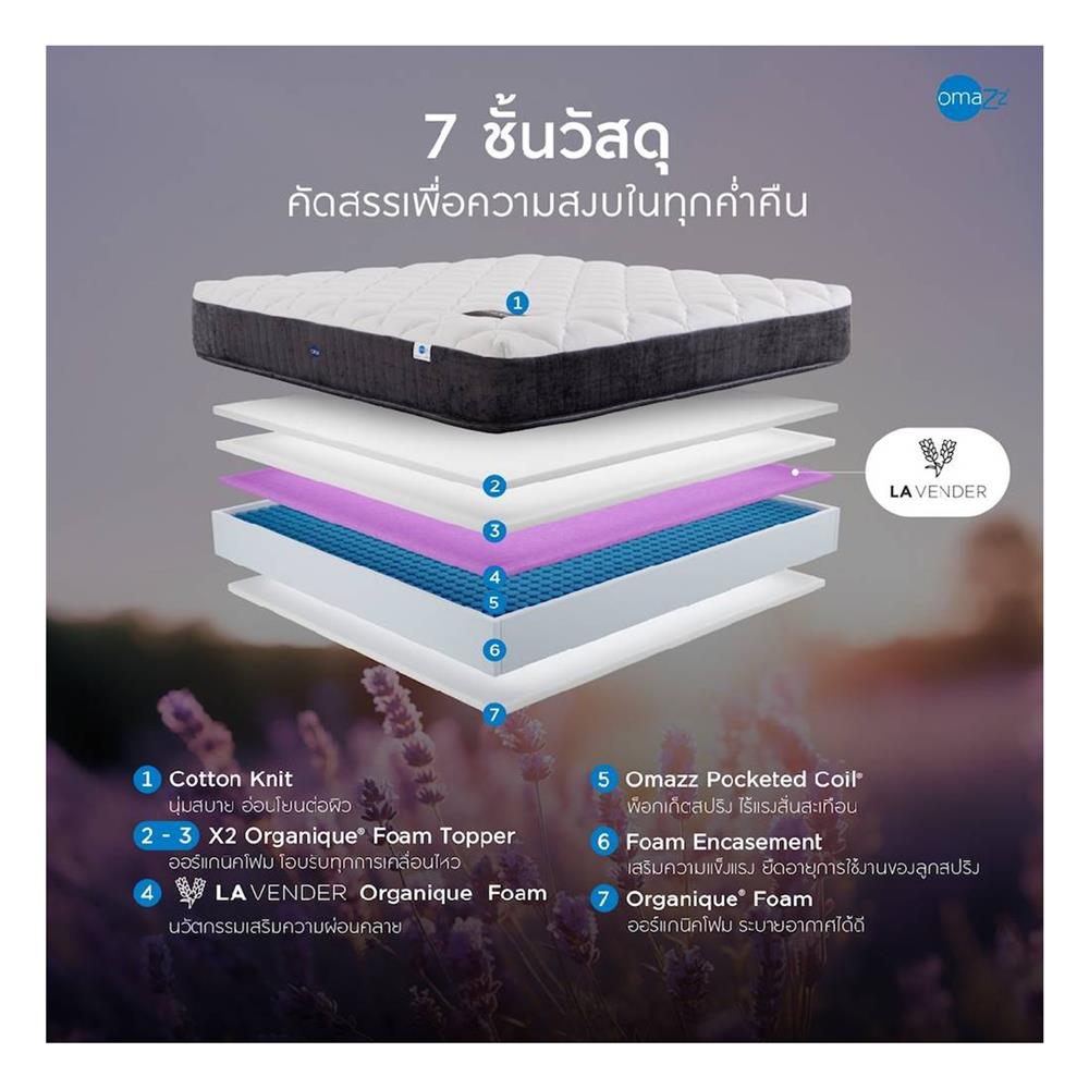 ที่นอน 6 ฟุต OMAZZ FINCHLEY (พร้อมชุดเครื่องนอน 8 ชิ้น)