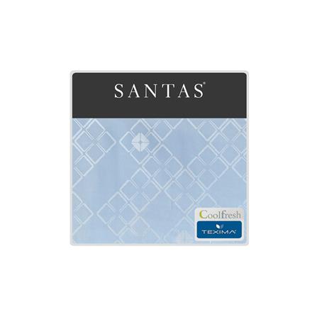 ชุดผ้าปูที่นอน 3.5 ฟุต (ชุด 3 ชิ้น) SANTAS TEXIMA NEOVATE BL_5