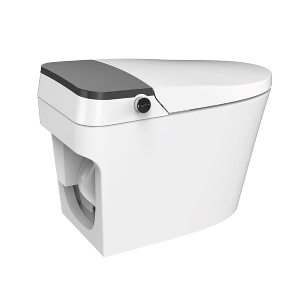 สุขภัณฑ์อัตโนมัติ HAFELE 495.61.486 4.3 ลิตร