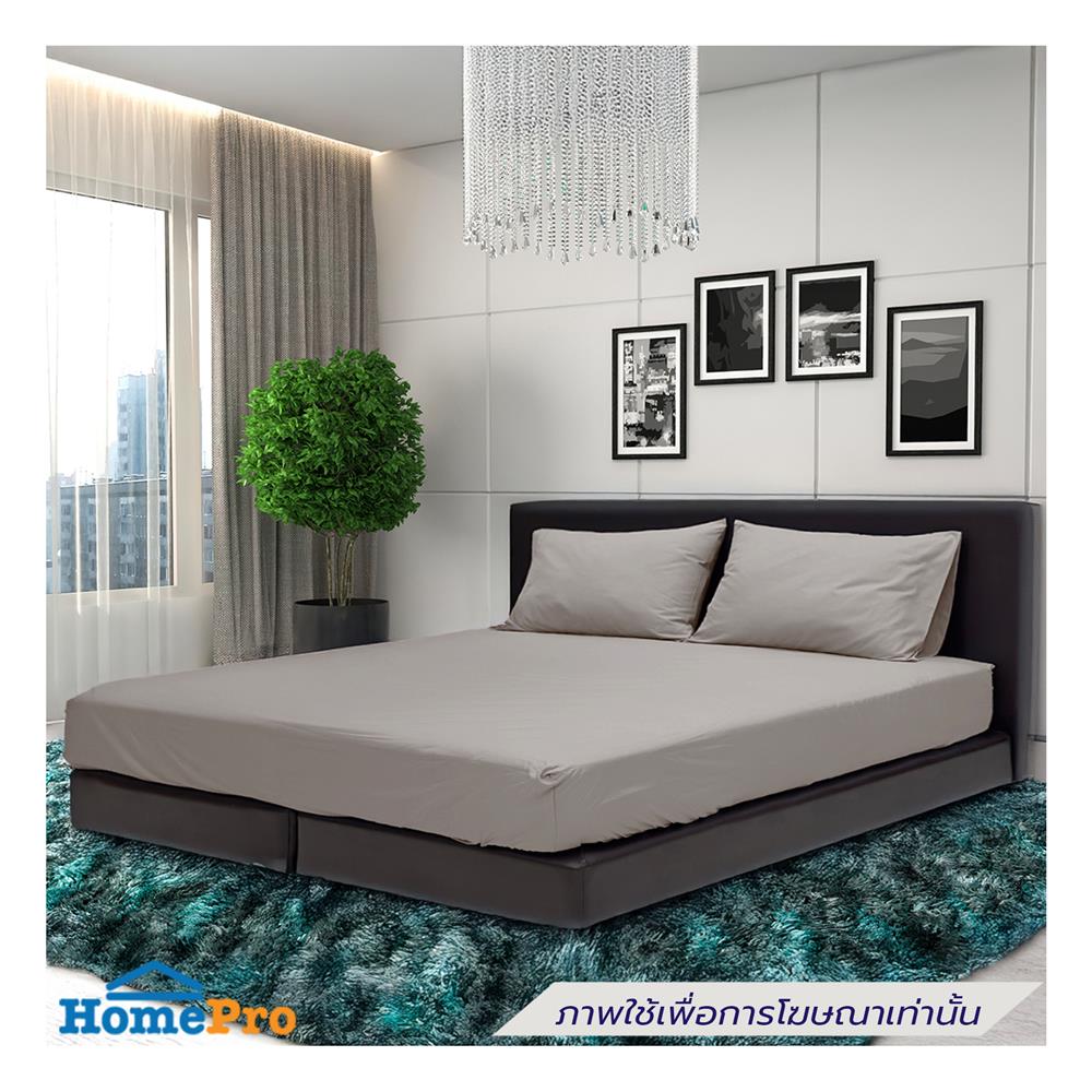 ชุดผ้าปูที่นอน 6 ฟุต (ชุด 5 ชิ้น) STEVENS SOFTEX ON16BI