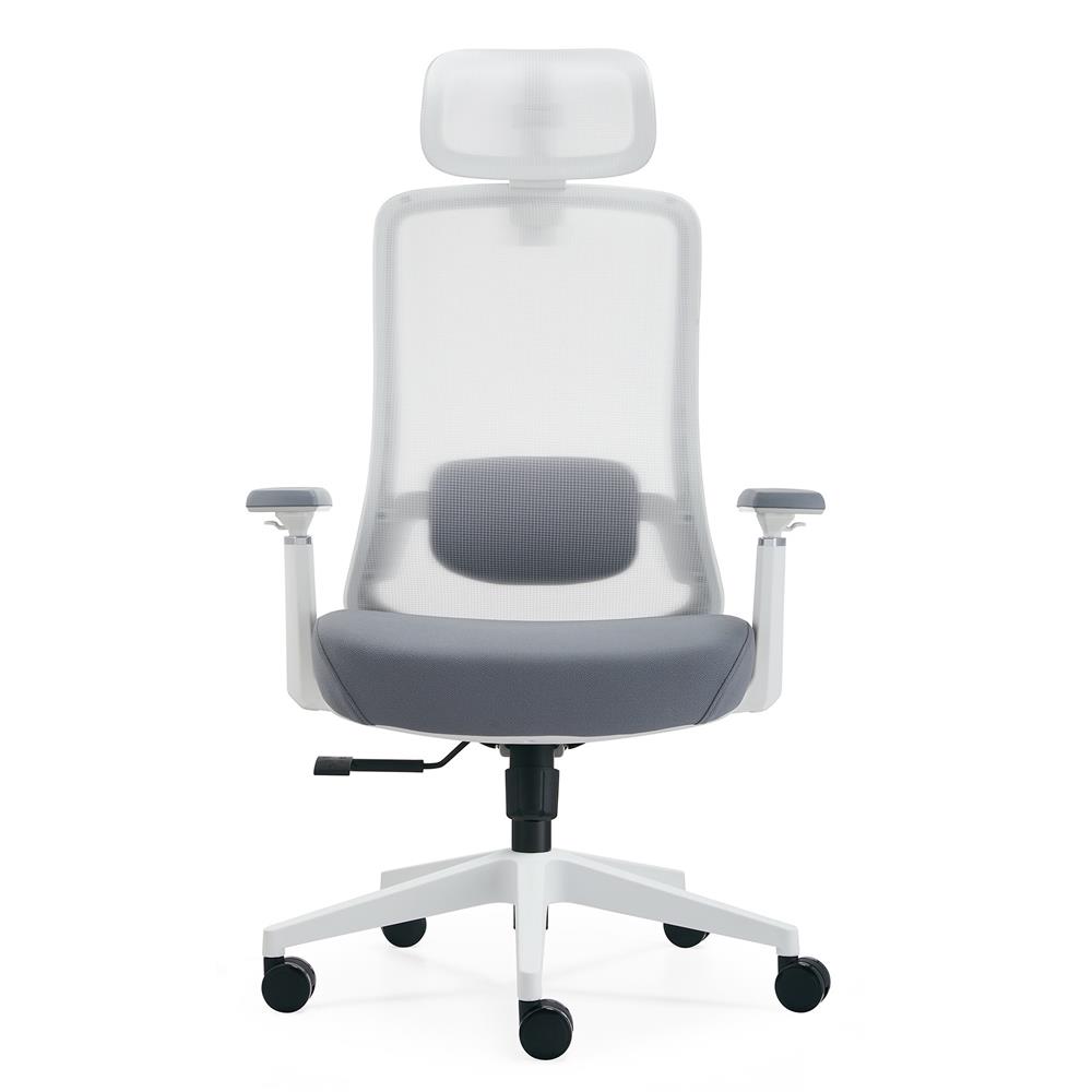 เก้าอี้สุขภาพ ERGOTREND GLACIER สีขาว