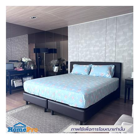 ชุดผ้าปูที่นอน 5 ฟุต (ชุด 5 ชิ้น) STEVENS SOFTEX PL88_0